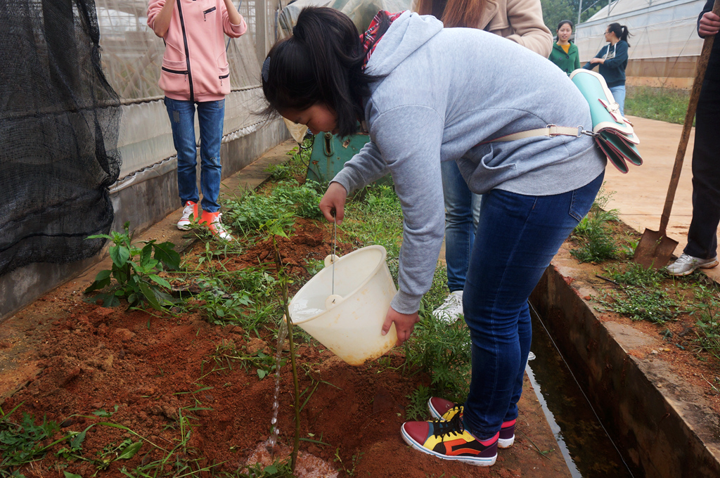 植出绿色爱心延续海南大学生命科学协会协会植树节活动